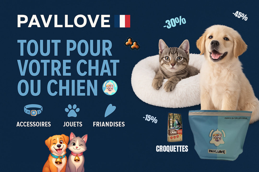 🐾 pavllive.com fait peau neuve : un nouveau site, une nouvelle énergie !