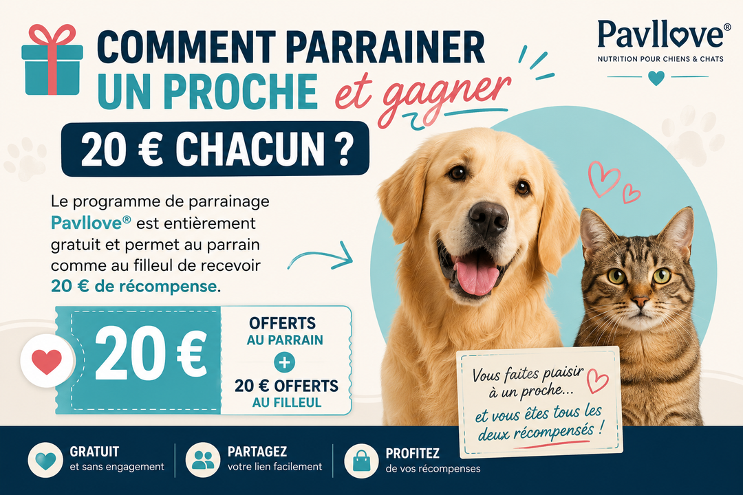🎁 Comment parrainer un proche et gagner 20 € chacun ?