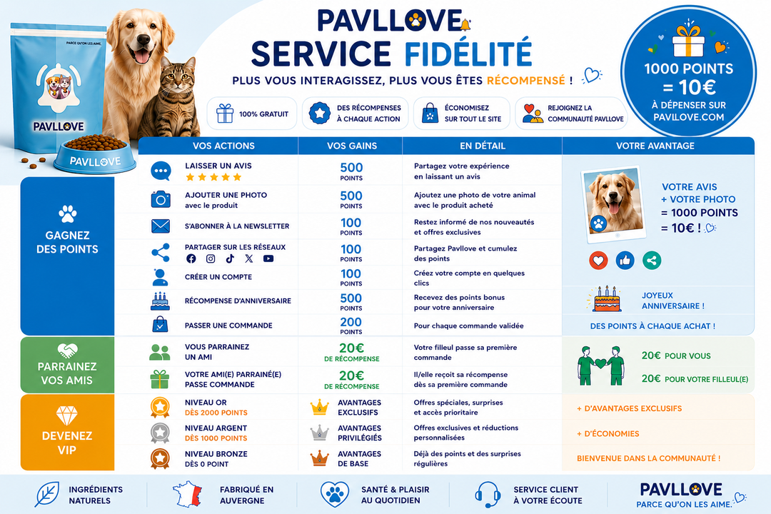 Le programme fidélité Pavllove : chaque action vous récompense !