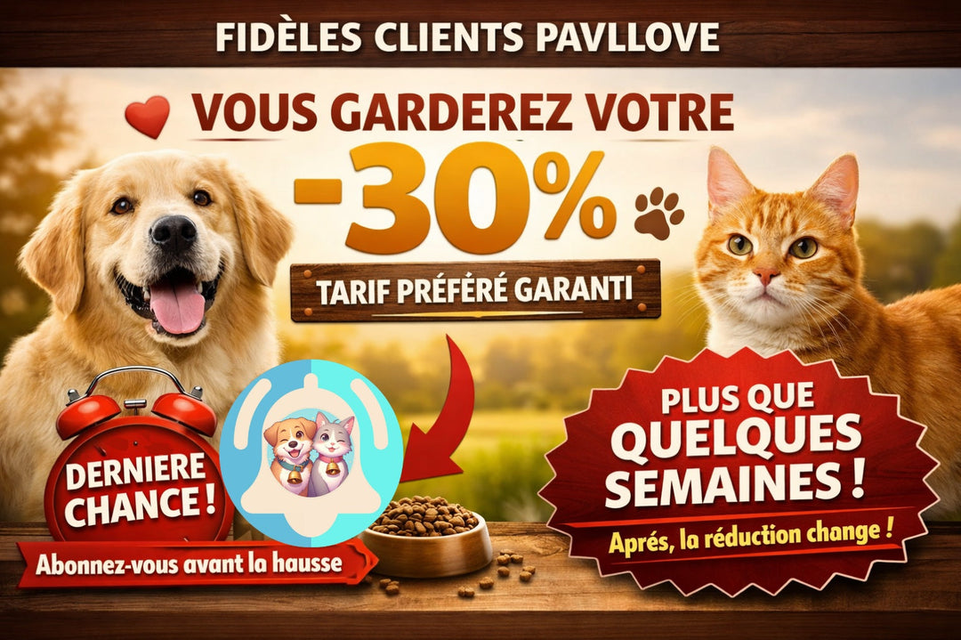 ❤️ Merci à nos abonnés Pavllove : votre avantage restera intact