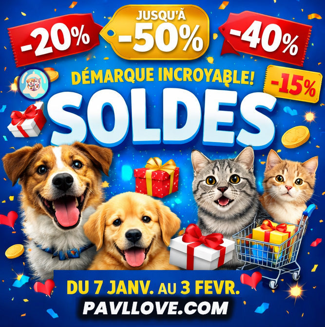 Soldes Pavllove 2026 : des réductions jamais vues du 7 janvier au 3 février