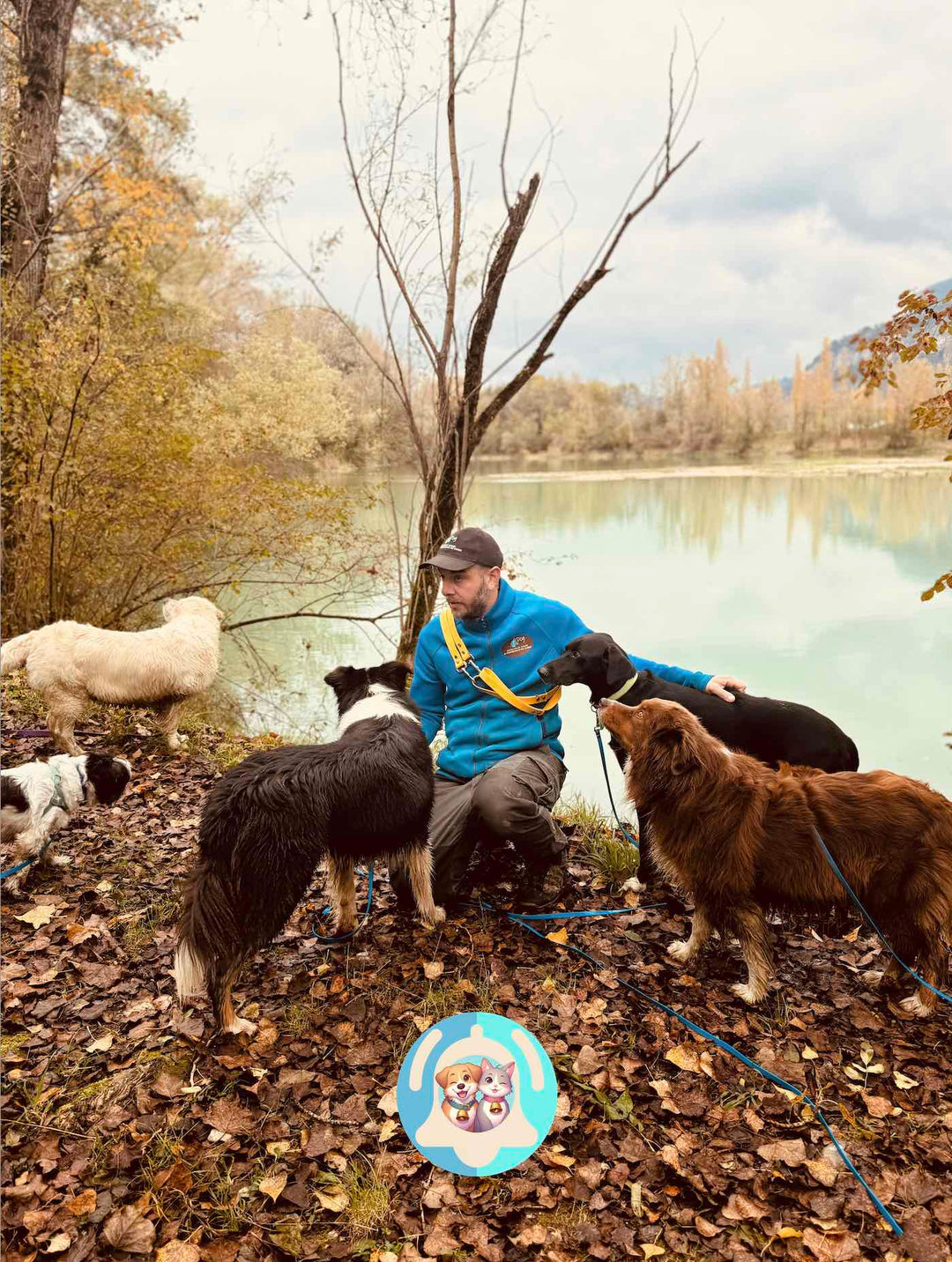 Comment sociabiliser son chien lors de balades ?