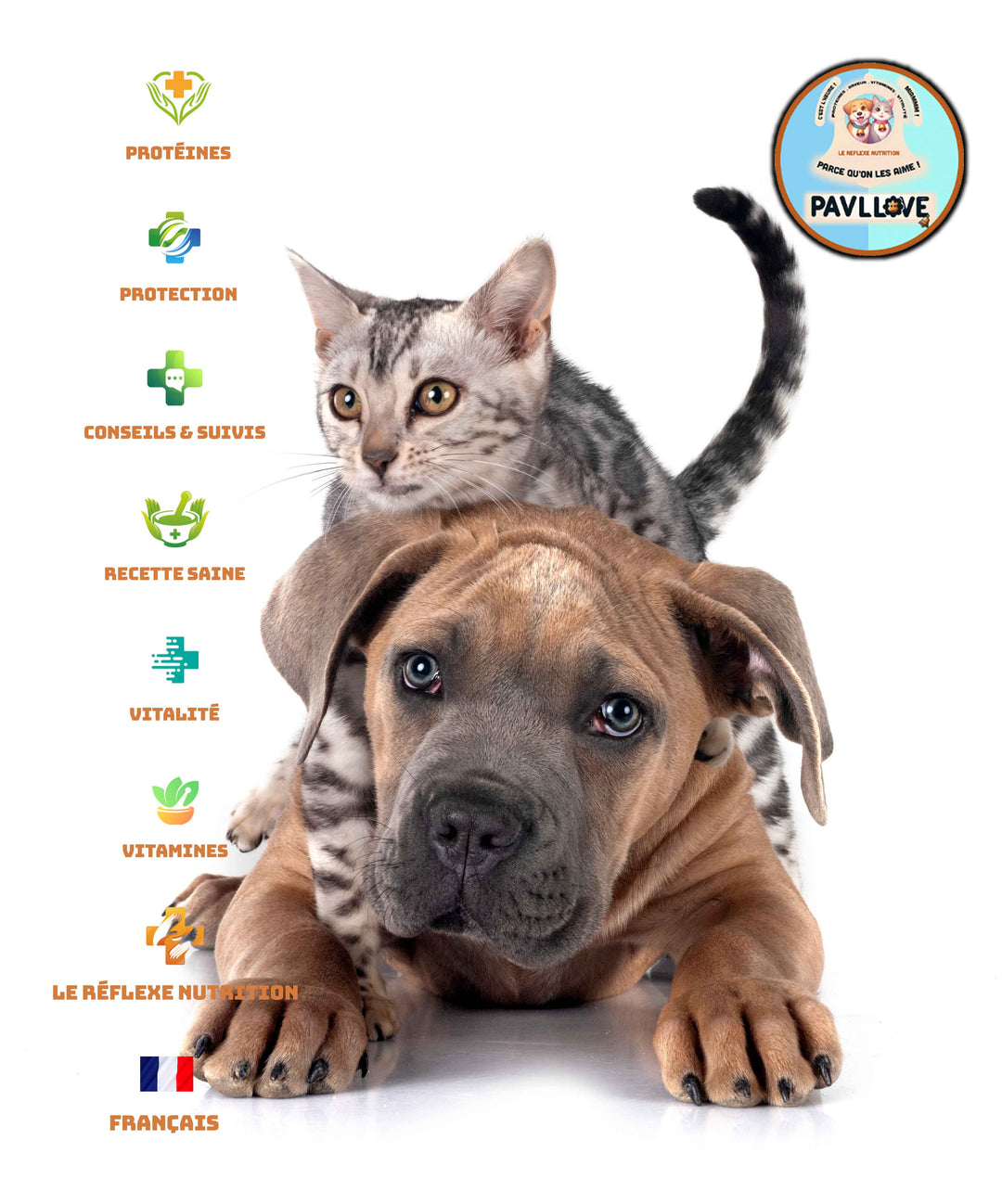 Choisir les meilleures croquettes pour chien et chats en 2026