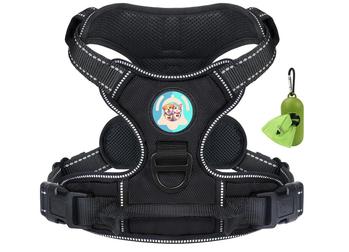 Laisses et colliers Pavllove pour chiens et chats