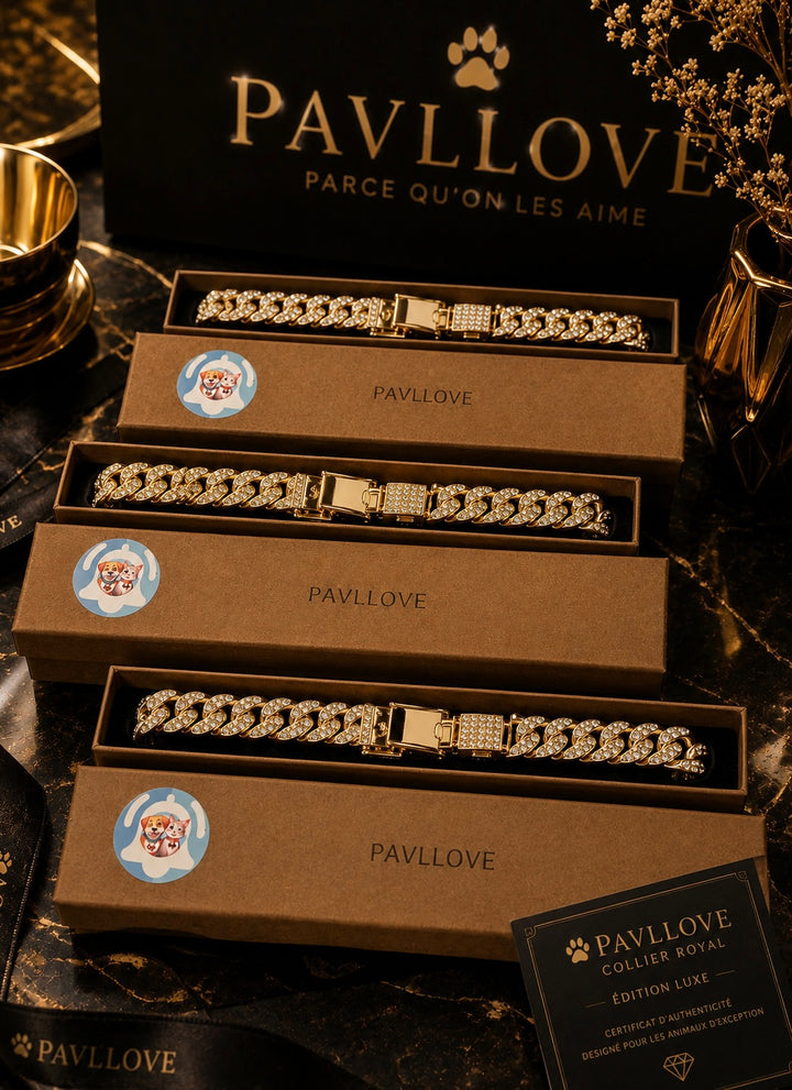 💎 Collier pour chien et chat, Édition Royale – Élégance, Brillance Absolue avec ses strass ⭐⭐⭐⭐⭐ - Pavllove