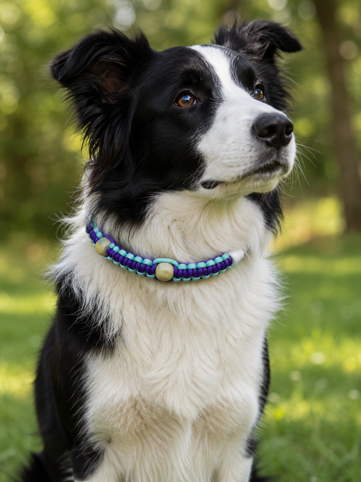 Collier Anti-Tiques & Antiparasitaire Naturel Chien et Chat, Fait Main en France, Perles de Céramique EM (Gamme Tréssée) ⭐⭐⭐⭐⭐ - Pavllove