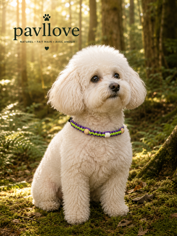 Collier Anti-Tiques & Antiparasitaire Naturel Chien et Chat, Fait Main en France, Perles de Céramique EM