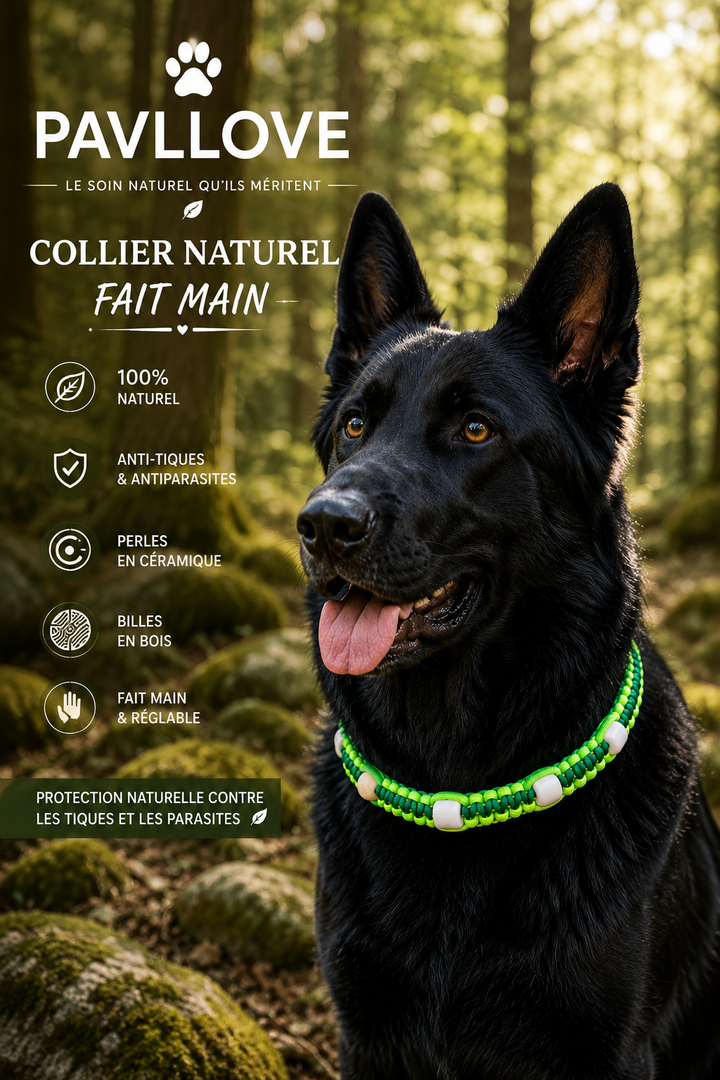Collier Anti-Tiques & Antiparasitaire Naturel Chien et Chat, Fait Main en France, Perles de Céramique EM (Gamme Tréssée) ⭐⭐⭐⭐⭐ - Pavllove