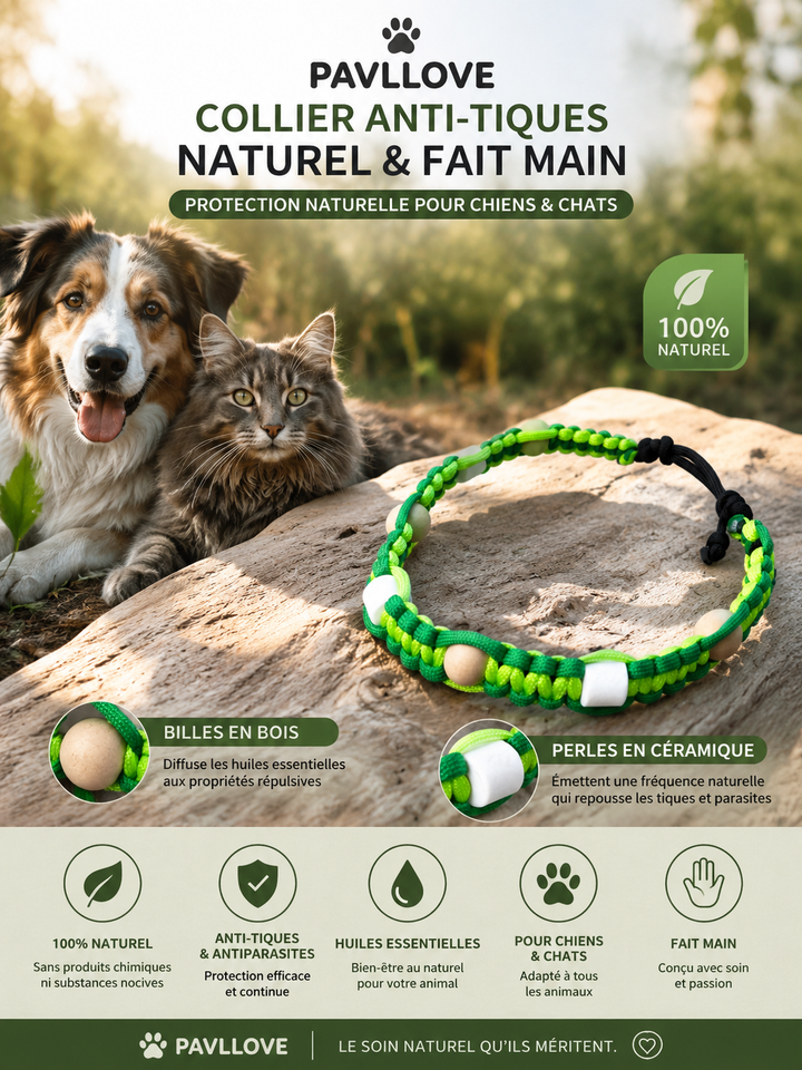 Collier Anti-Tiques & Antiparasitaire Naturel Chien et Chat, Fait Main en France, Perles de Céramique EM (Gamme Tréssée) ⭐⭐⭐⭐⭐ - Pavllove