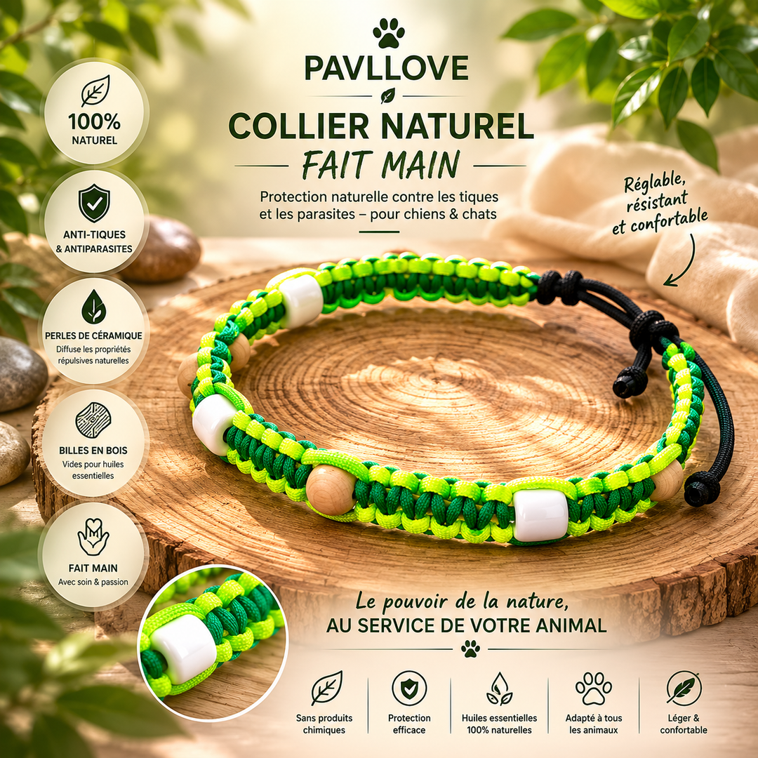 Collier Anti-Tiques & Antiparasitaire Naturel Chien et Chat, Fait Main en France, Perles de Céramique EM (Gamme Tréssée) ⭐⭐⭐⭐⭐ - Pavllove