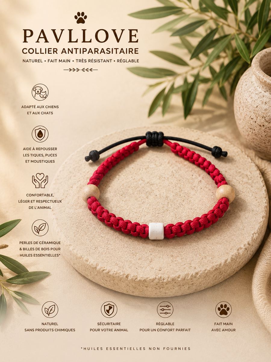 Collier Rouge Torsadé Anti-Tiques Naturel, Antiparasitaire avec Perles de Céramique EM ⭐⭐⭐⭐⭐ - Pavllove