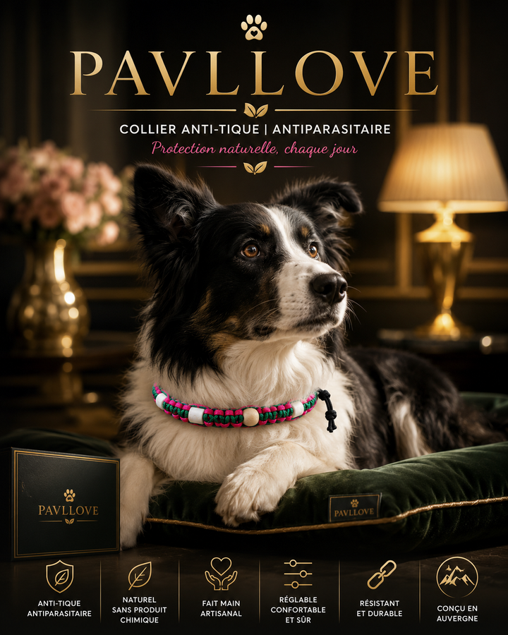 Collier Anti-Tiques & Antiparasitaire Naturel Chien et Chat, Fait Main en France, Perles de Céramique EM
