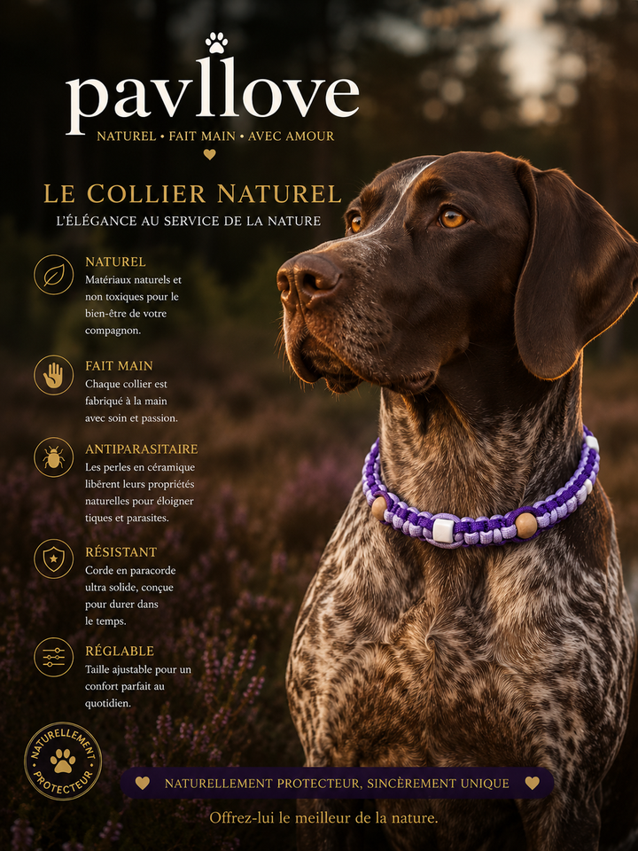 Colliers Violet & mauve Anti-Tiques & Antiparasitaire Naturel (Tréssée) avec Perles de céramique EM ⭐⭐⭐⭐⭐ - Pavllove