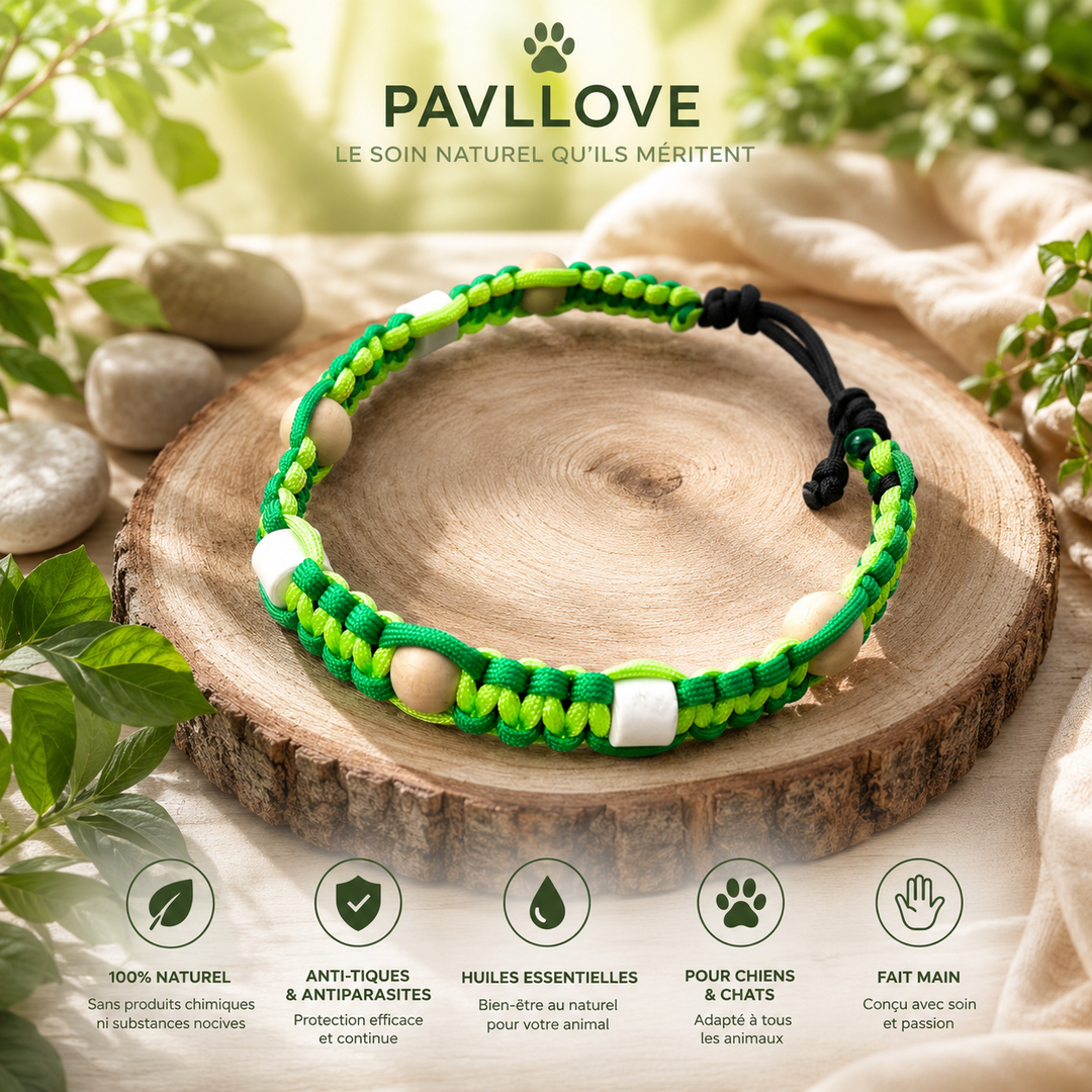 Colliers Vert Anti-Tiques & Antiparasitaire Naturel (Tréssée) avec Perles de céramique EM ⭐⭐⭐⭐⭐ - Pavllove
