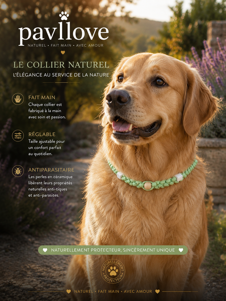 Collier vert Torsadé Anti-Tiques Naturel, Antiparasitaire avec Perles de Céramique EM ⭐⭐⭐⭐⭐ - Pavllove