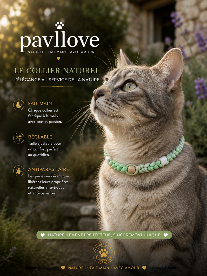 Collier vert Torsadé Anti-Tiques Naturel, Antiparasitaire avec Perles de Céramique EM ⭐⭐⭐⭐⭐ - Pavllove