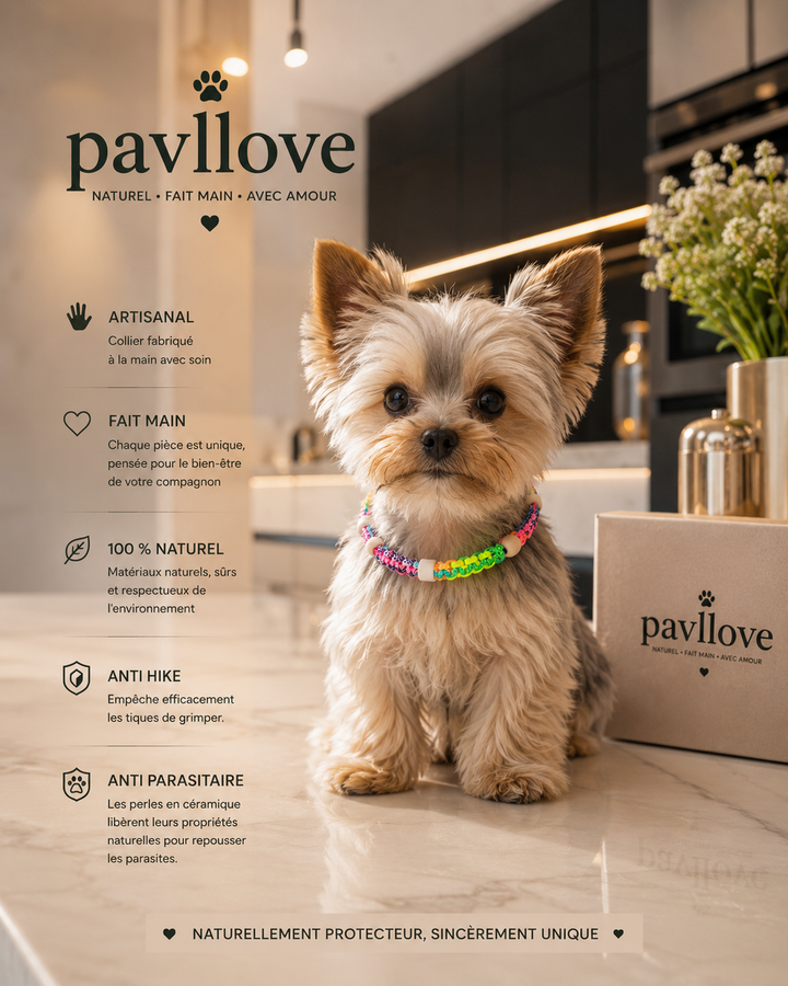 Collier Anti-Tiques & Antiparasitaire Naturel Chien et Chat, Fait Main en France, Perles de Céramique EM