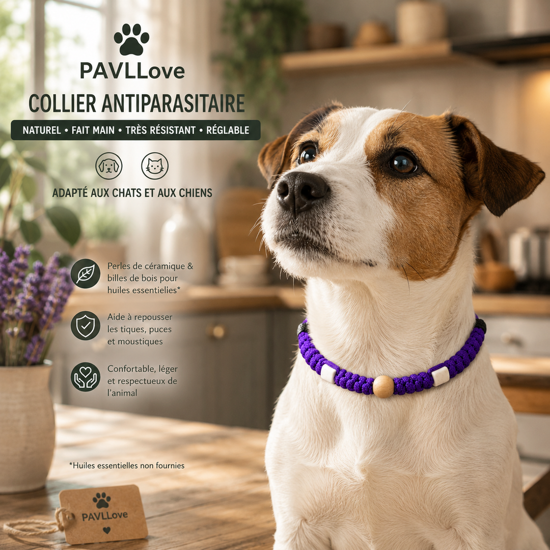 Collier Violet Torsadé Anti-Tiques Naturel, Antiparasitaire avec Perles de Céramique EM ⭐⭐⭐⭐⭐ (Copie) - Pavllove