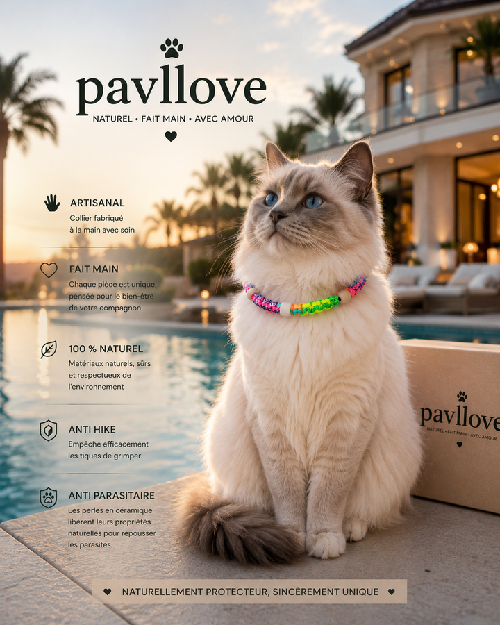 Collier Anti-Tiques & Antiparasitaire Naturel Chien et Chat, Fait Main en France, Perles de Céramique EM