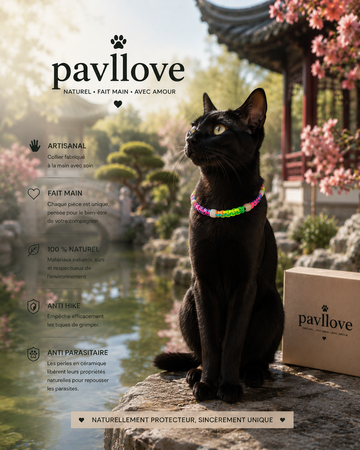 Collier Anti-Tiques & Antiparasitaire Naturel Chien et Chat, Fait Main en France, Perles de Céramique EM