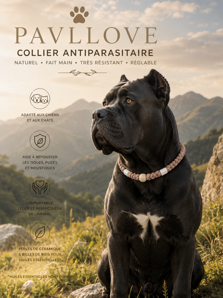 Collier Marron Torsadé Anti-Tiques Naturel, Antiparasitaire avec Perles de Céramique EM ⭐⭐⭐⭐⭐ (Copie) (Copie) - Pavllove