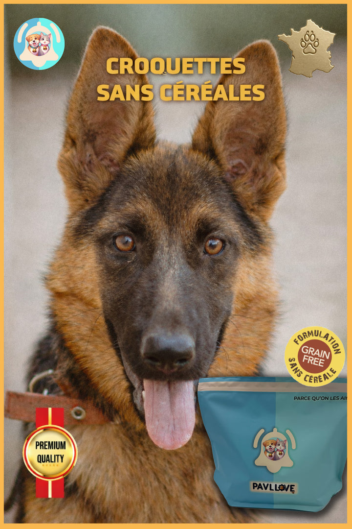 Croquettes sans céréales pour chien Adulte (Volaille) ⭐⭐⭐⭐⭐ - Pavllove