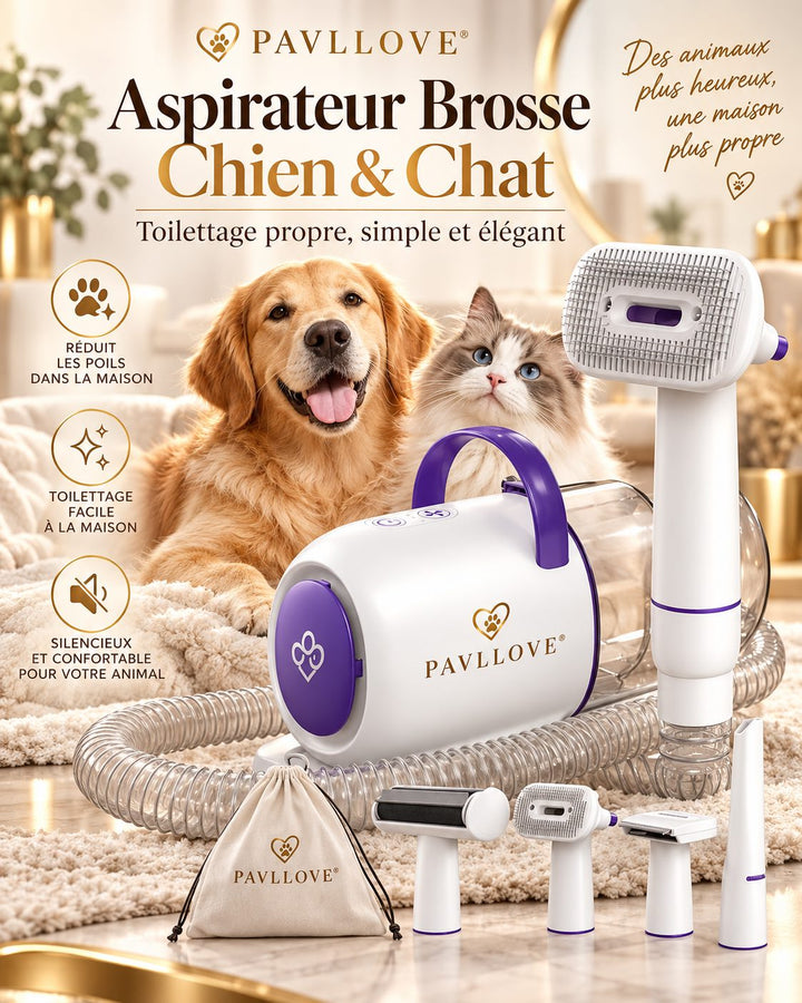 Femme utilisant un aspirateur brosse pour toiletter un Golden Retriever et aspirer directement les poils morts pendant le brossage