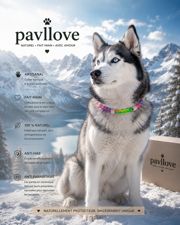 Collier Anti-Tiques & Antiparasitaire Naturel Chien et Chat, Fait Main en France, Perles de Céramique EM