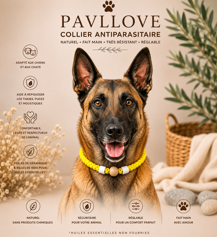 Collier Jaune Torsadé Anti-Tiques Naturel, Antiparasitaire avec Perles de Céramique EM ⭐⭐⭐⭐⭐ - Pavllove
