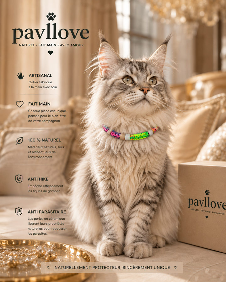 Collier Anti-Tiques & Antiparasitaire Naturel Chien et Chat, Fait Main en France, Perles de Céramique EM
