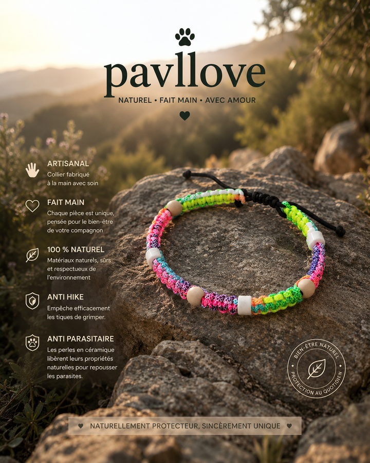 Collier Anti-Tiques & Antiparasitaire Naturel Chien et Chat, Fait Main en France, Perles de Céramique EM