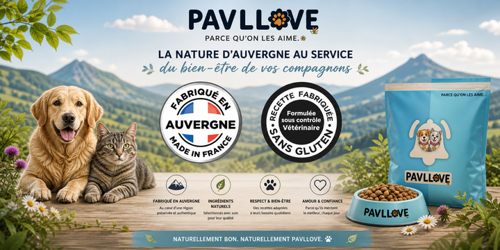 Croquettes au saumon naturellement riches en oméga 3 pour chat