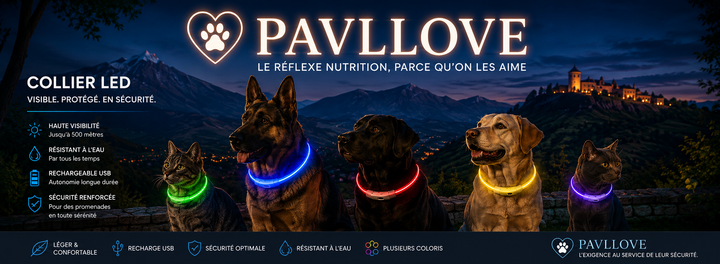 Colliers LED Pavllove pour chiens et chats ⭐⭐⭐⭐⭐ - Pavllove