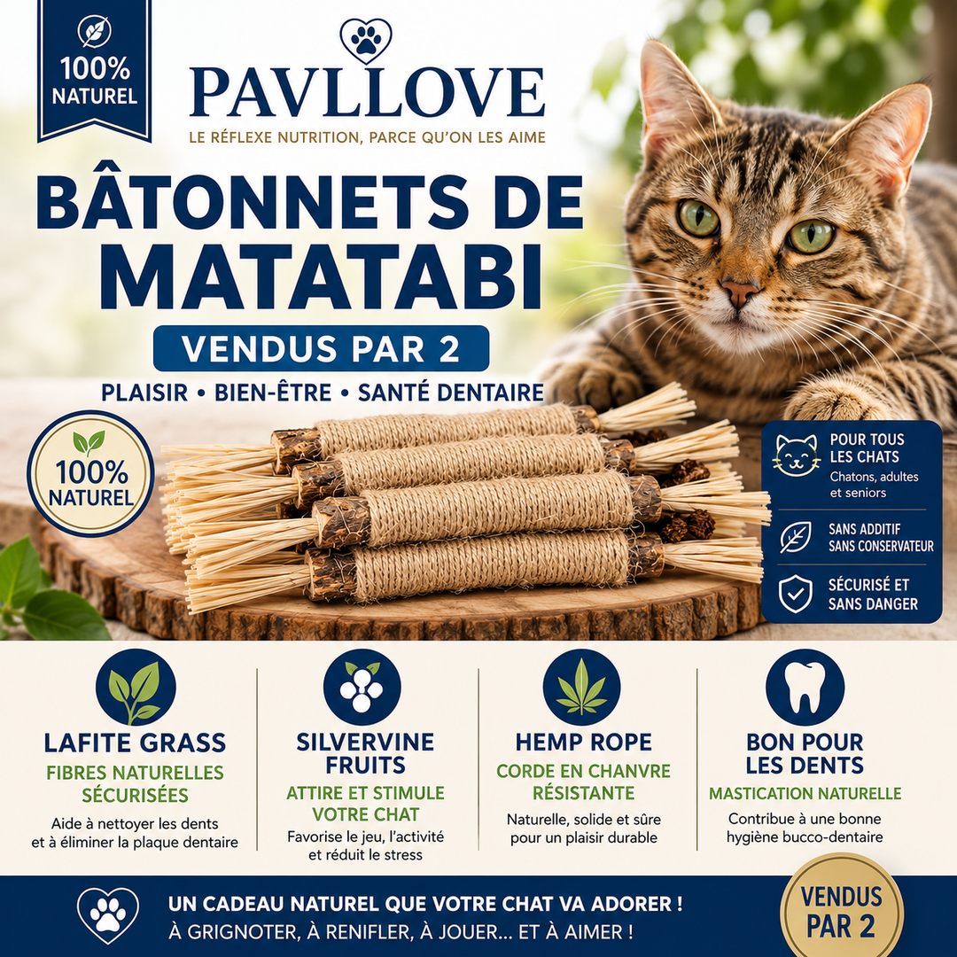 Bâtonnets d’Herbe à Chat Matatabi (X2) ⭐⭐⭐⭐⭐ - Pavllove