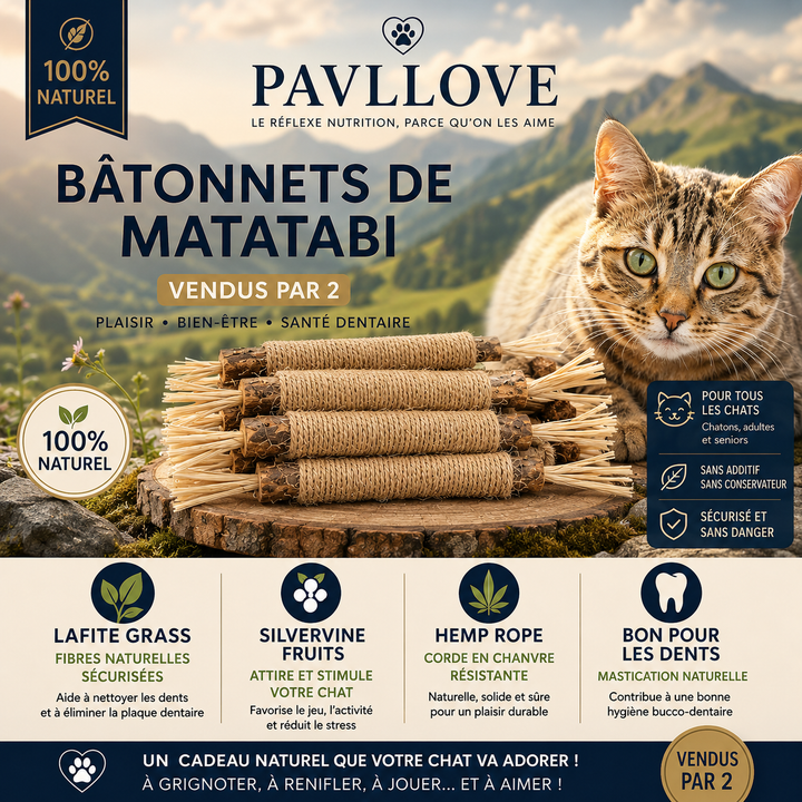 Bâtonnets d’Herbe à Chat Matatabi (X2) ⭐⭐⭐⭐⭐ - Pavllove