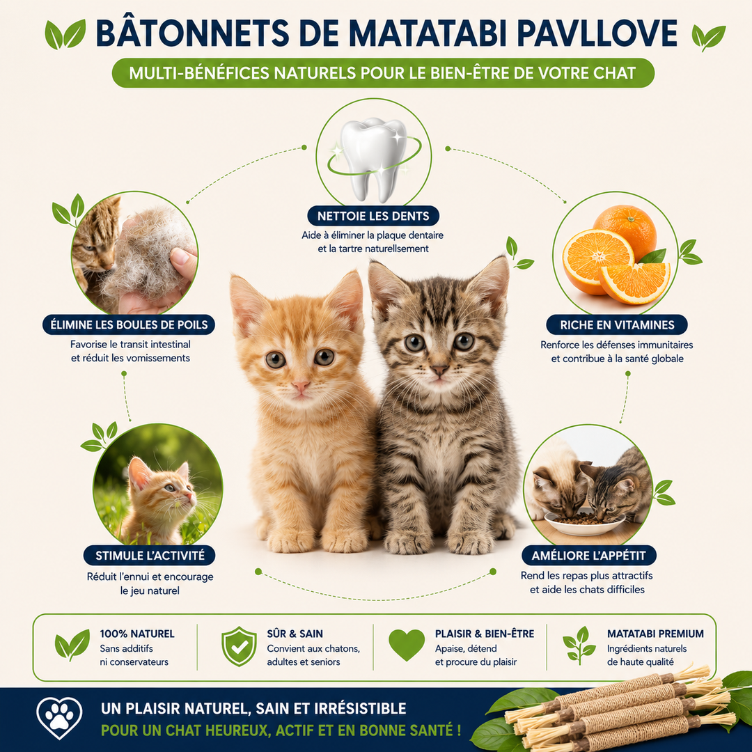 Bâtonnets d’Herbe à Chat Matatabi (X2) ⭐⭐⭐⭐⭐ - Pavllove