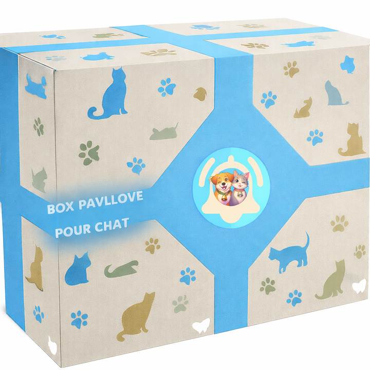 🎄🐱 BOX CADEAU PAVLLOVE – ÉDITION SPÉCIALE CHAT ⭐⭐⭐⭐⭐ - Pavllove