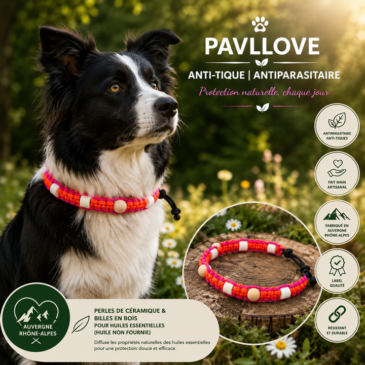Colliers Rose Anti-Tiques & Antiparasitaire Naturel (Tréssée) avec Perles de céramique EM ⭐⭐⭐⭐⭐ - Pavllove