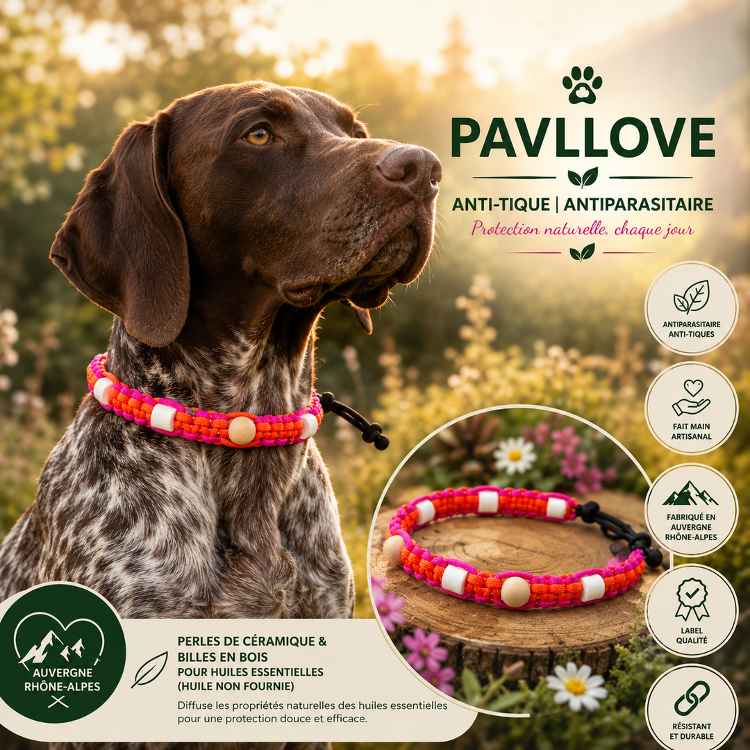 Colliers Rose Anti-Tiques & Antiparasitaire Naturel (Tréssée) avec Perles de céramique EM ⭐⭐⭐⭐⭐ - Pavllove
