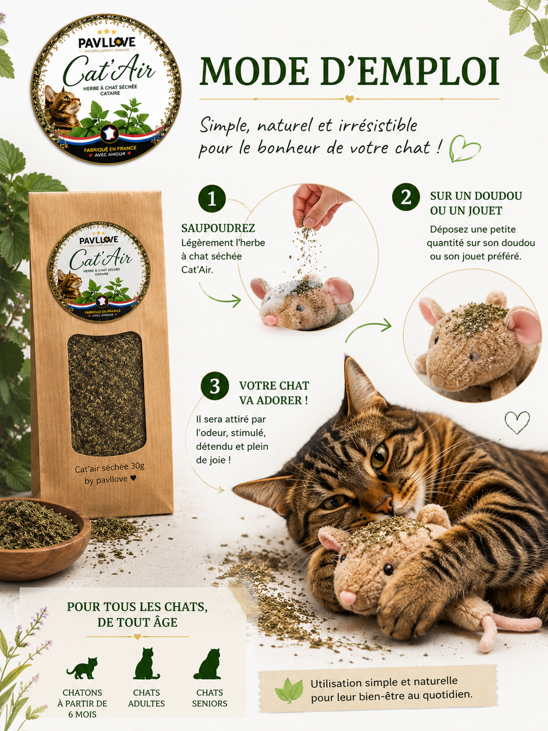 Herbe à chat naturelle cataire pour enrichir l’environnement et attirer le chat vers ses jouets