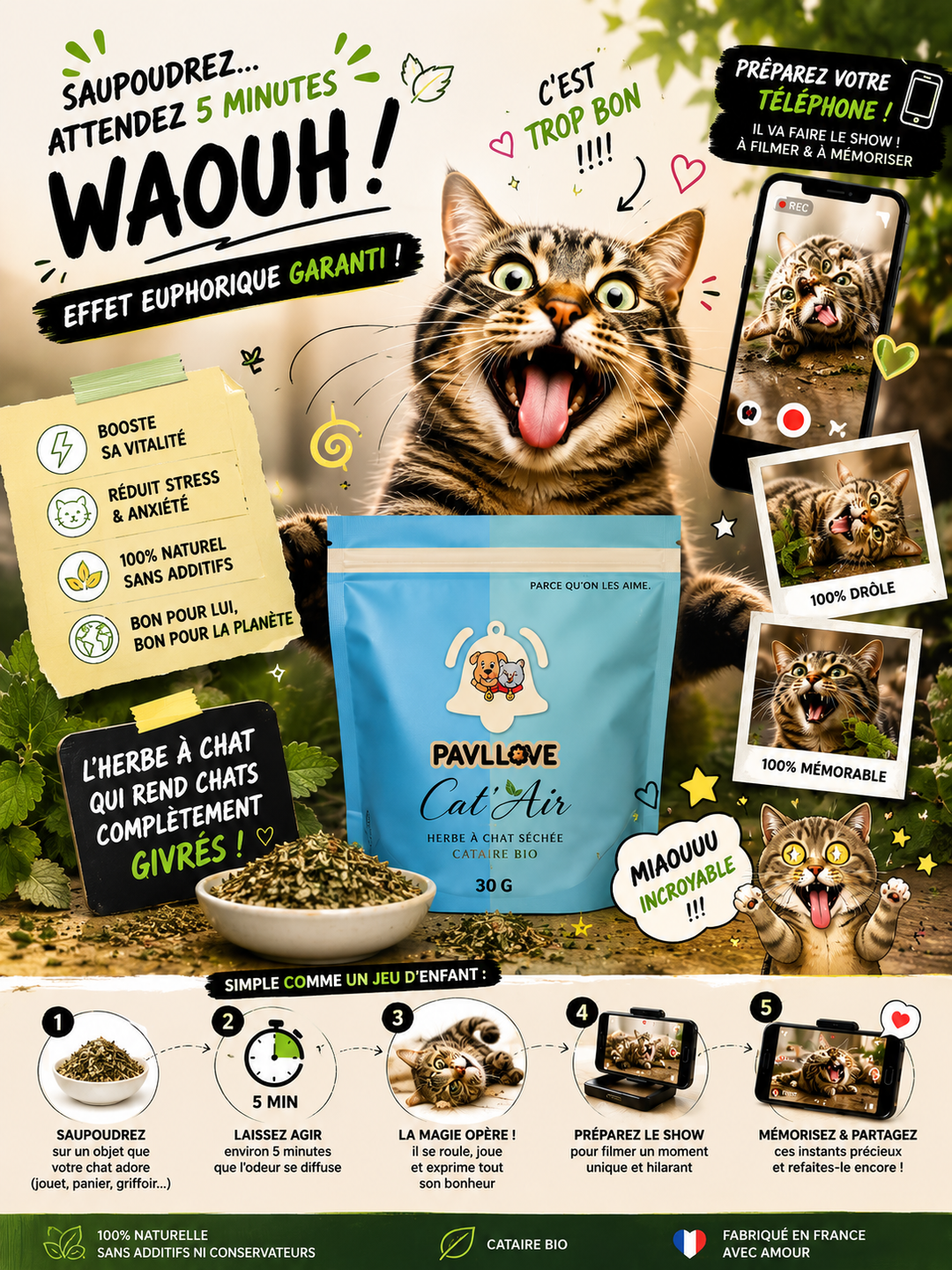 Cat'Air - Herbe séchée pour chat cataire ⭐⭐⭐⭐⭐ - Pavllove