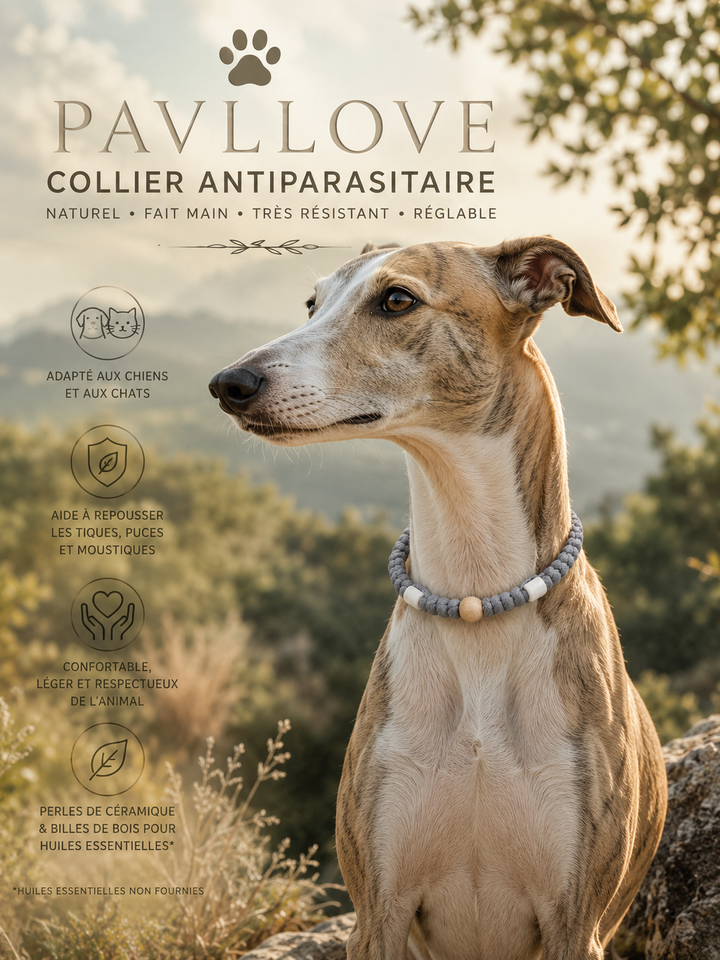 Collier Gris Torsadé Anti-Tiques Naturel, Antiparasitaire avec Perles de Céramique EM ⭐⭐⭐⭐⭐ - Pavllove