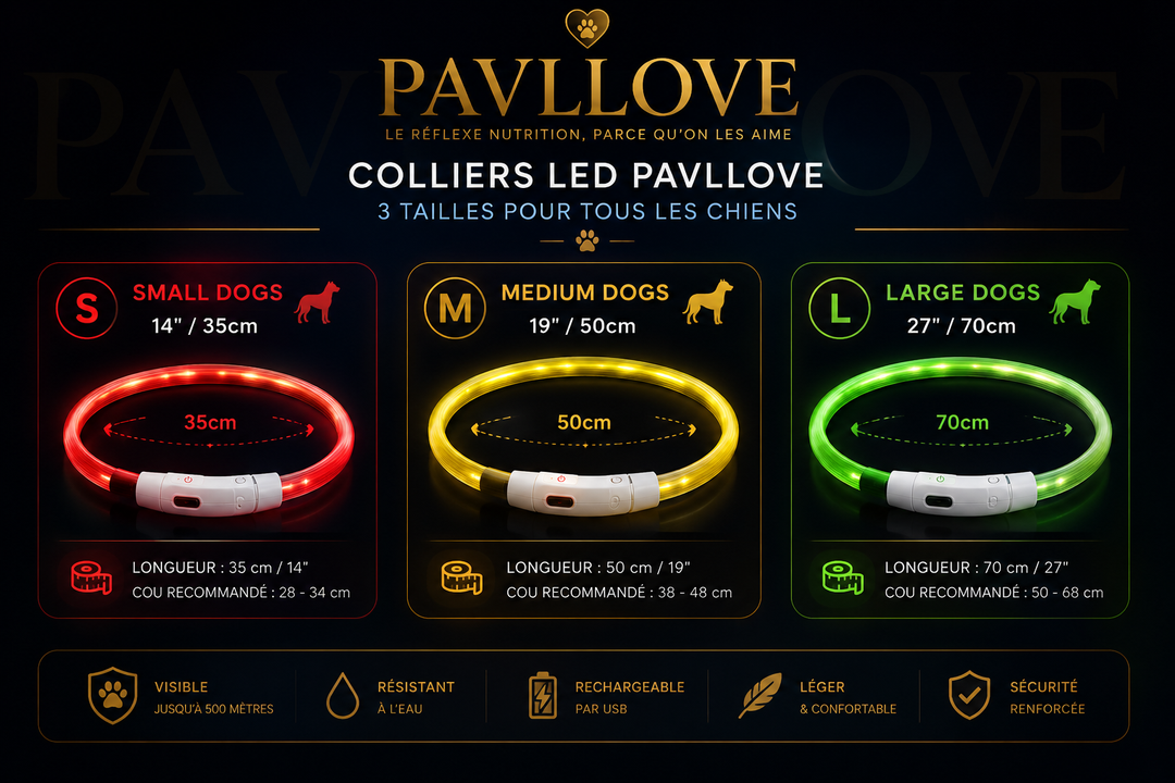 Colliers LED Pavllove pour chiens et chats ⭐⭐⭐⭐⭐ - Pavllove