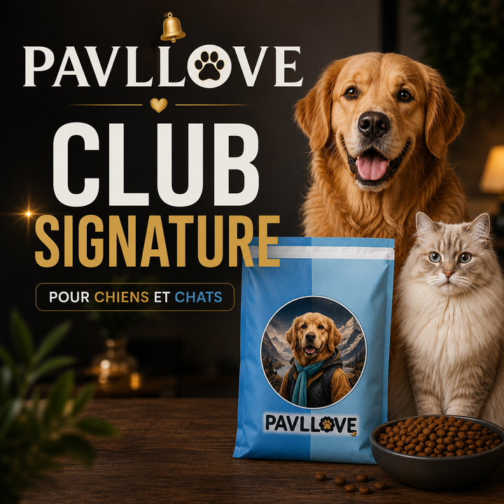 👑 Club Signature Pavllove® - Pavllove