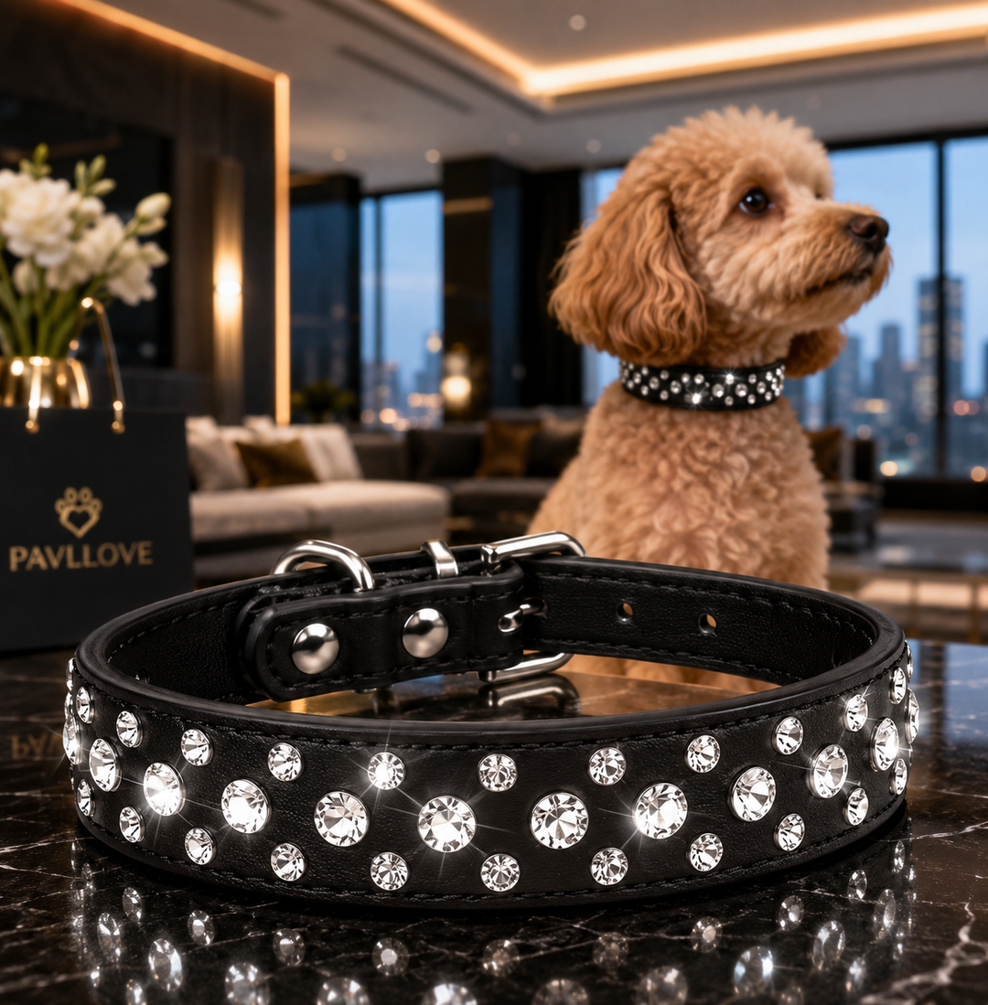 Collier Strass Noir – Chien & Chat | Élégant, Résistant & Confortable ⭐⭐⭐⭐⭐ - Pavllove