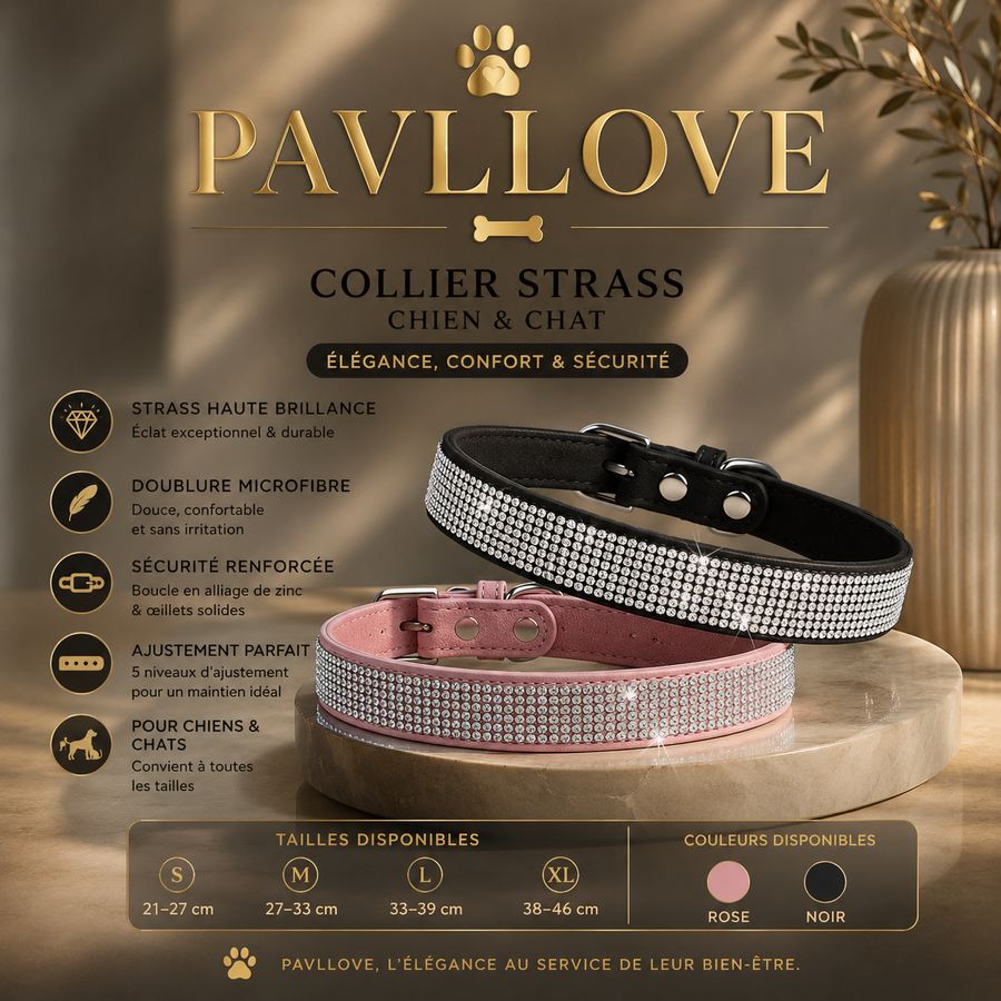 Collier strass chien chat – Élégant et ajustable Pavllove ⭐⭐⭐⭐⭐ - Pavllove