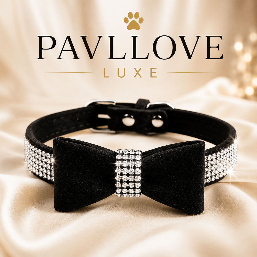 Collier nœud papillon bijoux pour chiens et chats ⭐⭐⭐⭐⭐ - Pavllove