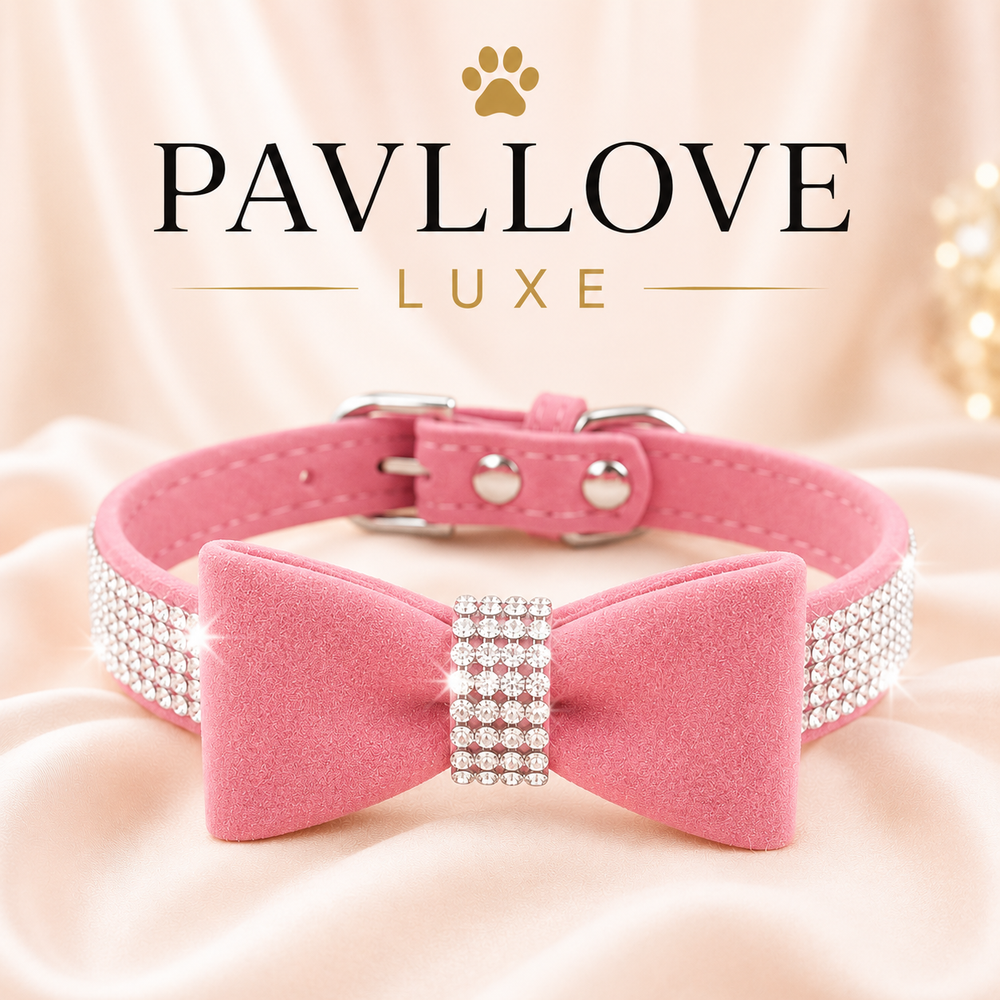 Collier nœud papillon bijoux pour chiens et chats ⭐⭐⭐⭐⭐ - Pavllove