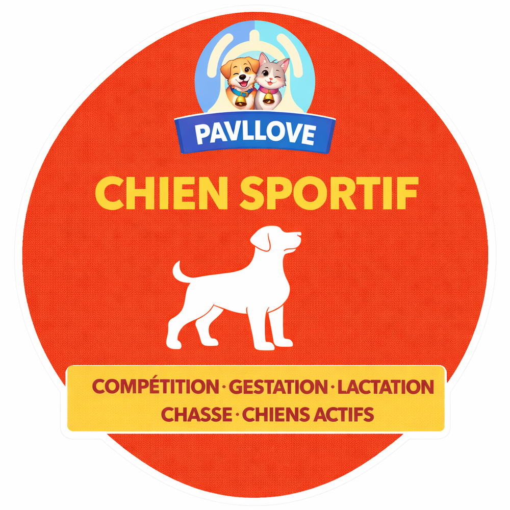 Croquettes haut de gamme pour chien sportif (gestation / lactation / compétition) -Volaille ⭐⭐⭐⭐⭐ - Pavllove
