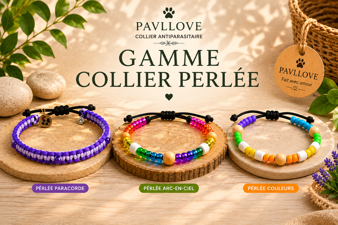 Collier Perle transparente multicolor Anti-Tiques & Antiparasitaire Naturel, Perles de Céramique EM ⭐⭐⭐⭐⭐ - Pavllove